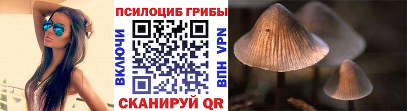 Галлюциногенные грибы Psilocybine cubensis  как найти наркотики  МЕГА маркетплейс  Абинск 